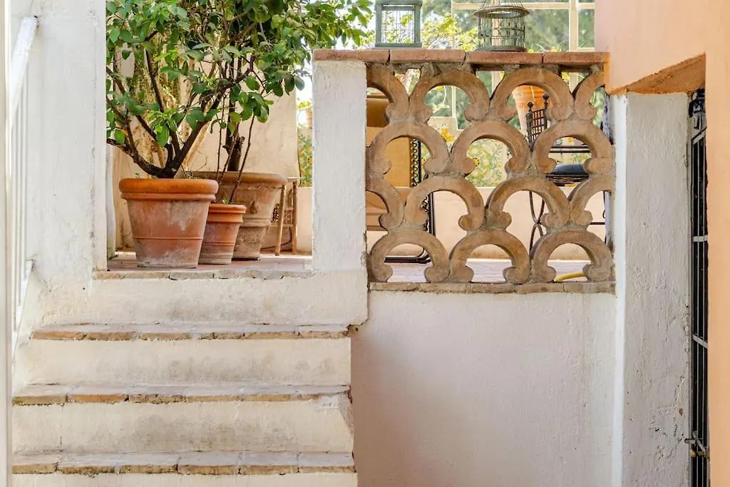 Riad Riari Rome